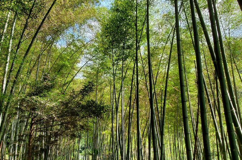 高円寺　整体　おすすめ