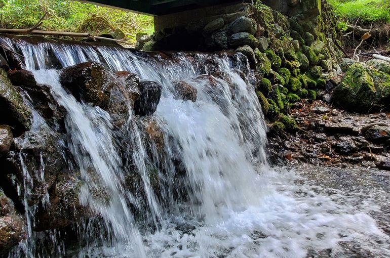 高円寺　整体　おすすめ